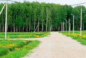 Фото услуги ЛК