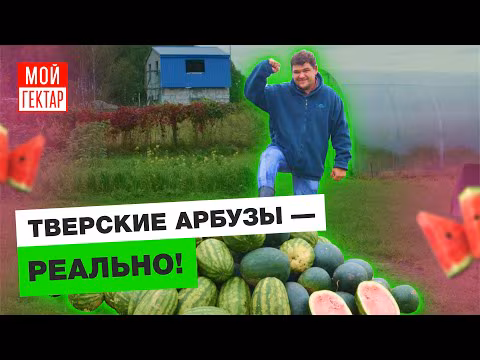 Фото проекта от сохи до сохи 