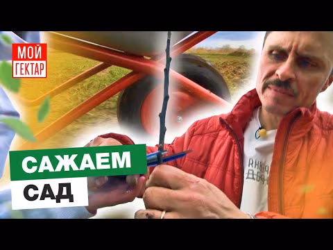 Фото проекта от сохи до сохи 